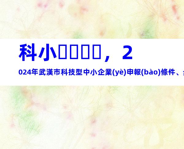 科小，2024年武漢市科技型中小企業(yè)申報(bào)條件、步驟及相關(guān)要求